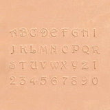 28-813800.SLC.02.jpg Stamp Set Alphabet/Number - 3/8" Image