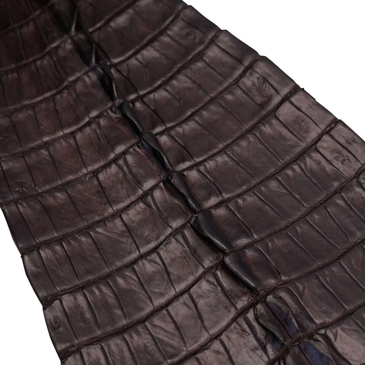NCROC.Brown.Hornback.03.jpg Nile Crocodile Tails Image