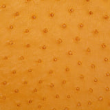 OSTH.Buttercup.02.jpg Ostrich Hides Image