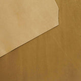 157-1220.SLC.03.jpg LM Coyote Sides Image