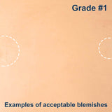 100-G.SLC.2.jpg Import Tooling Pre-Cut - 8.5" x 11" Image