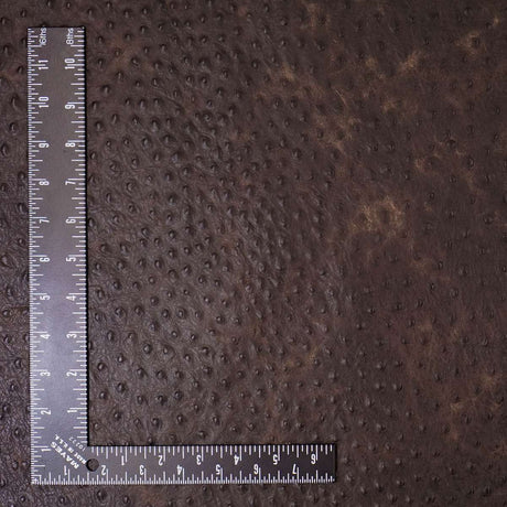 57-7511.SLC.2.jpg Rustic Ostrich Print - Brown Image