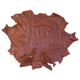 OSTH.Brandy.01.jpg Ostrich Hides Image