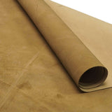 157-1220.SLC.01.jpg LM Coyote Sides Image