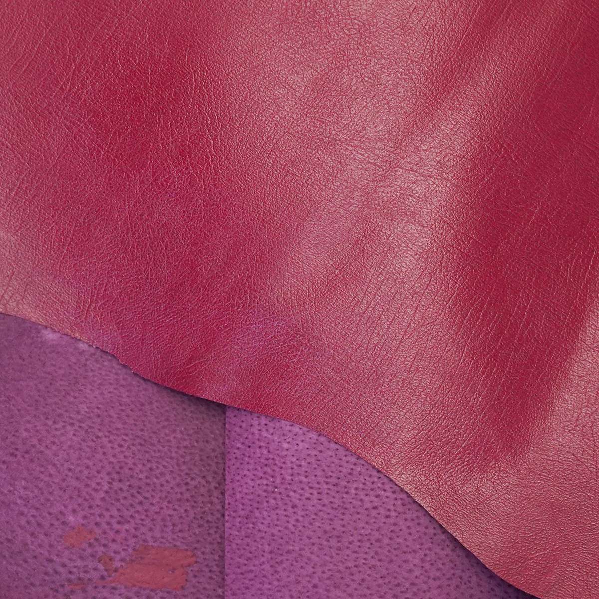 MPIG.Burgundy.03.jpg Mission Grain Pig Image