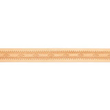 EMBS.Southwestern.01.jpg Embossed Strips Image