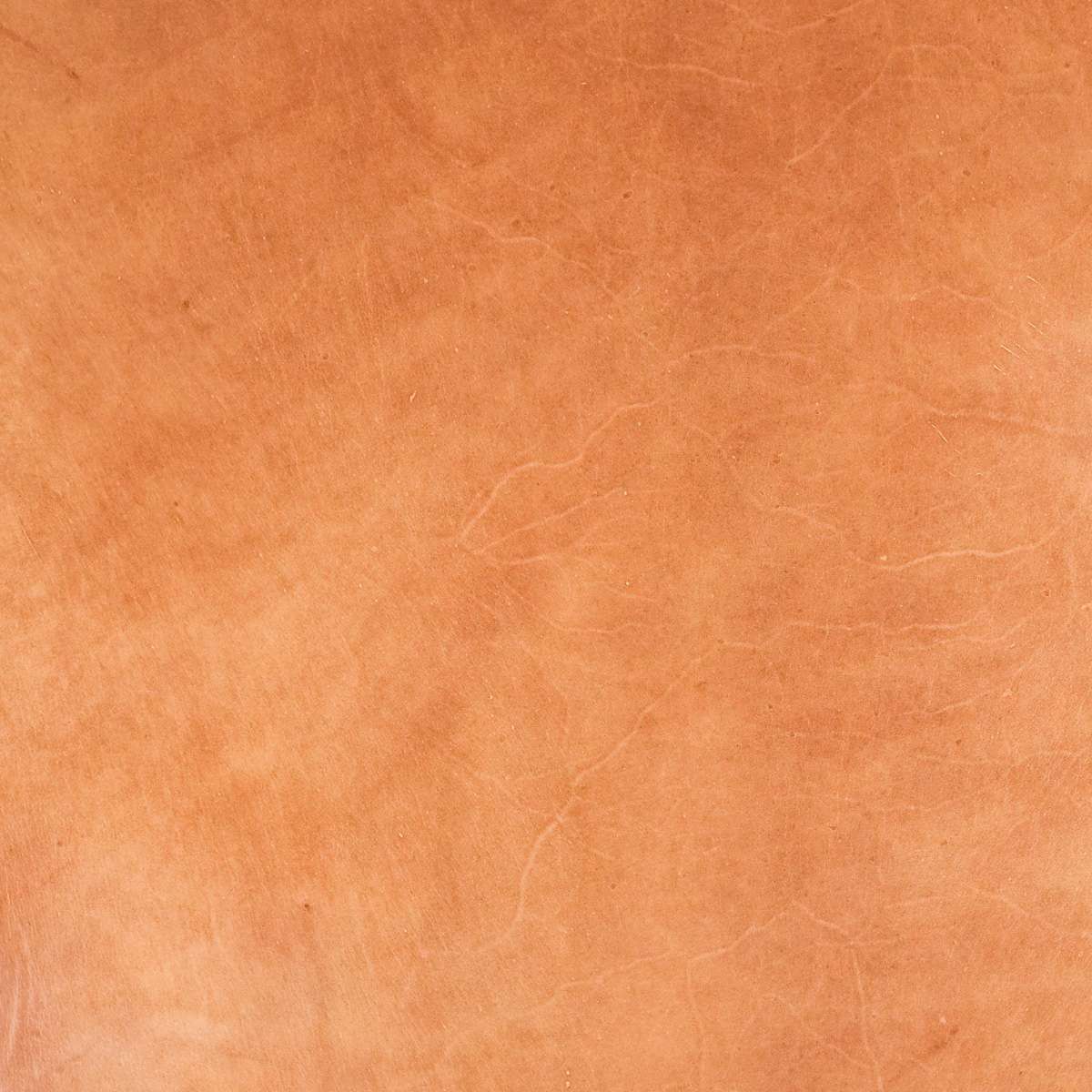 VTKS.Ochre.Glazed Finish.3.jpg Veg Tan Kangaroo Skins Image