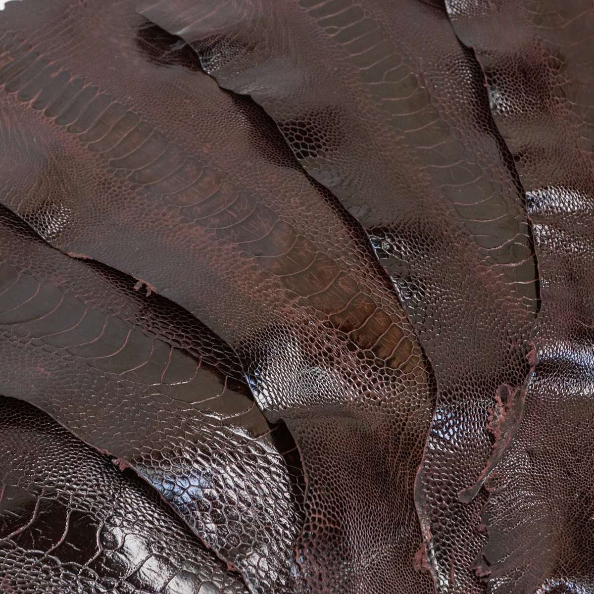 22-17.SLC.1.jpg Special Purchase Ostrich Leg - Bordeaux Image
