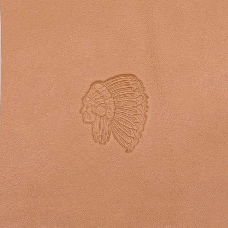 115-8842900.SLC.01.jpg 3D Stamp - Native American Chief Image