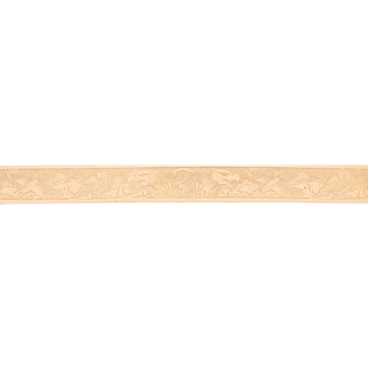 EMBS.Eagle.01.jpg Embossed Strips Image