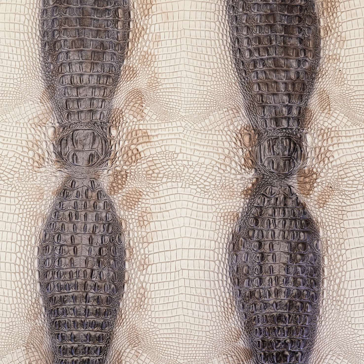 57-8577.SLC.04.jpg King Croco – Desert/Stone Image