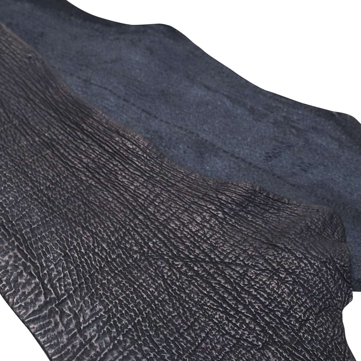 76-015.SLC.02.jpg Black Shark Strips Image