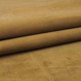 157-1220.SLC.02.jpg LM Coyote Sides Image