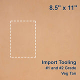 100-G.SLC.1.jpg Import Tooling Pre-Cut - 8.5" x 11" Image
